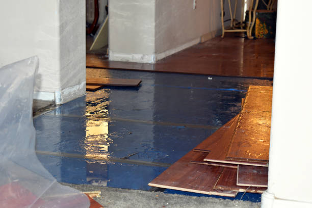 Professional Basement Flood Cleanup technician working in Monroe, IA